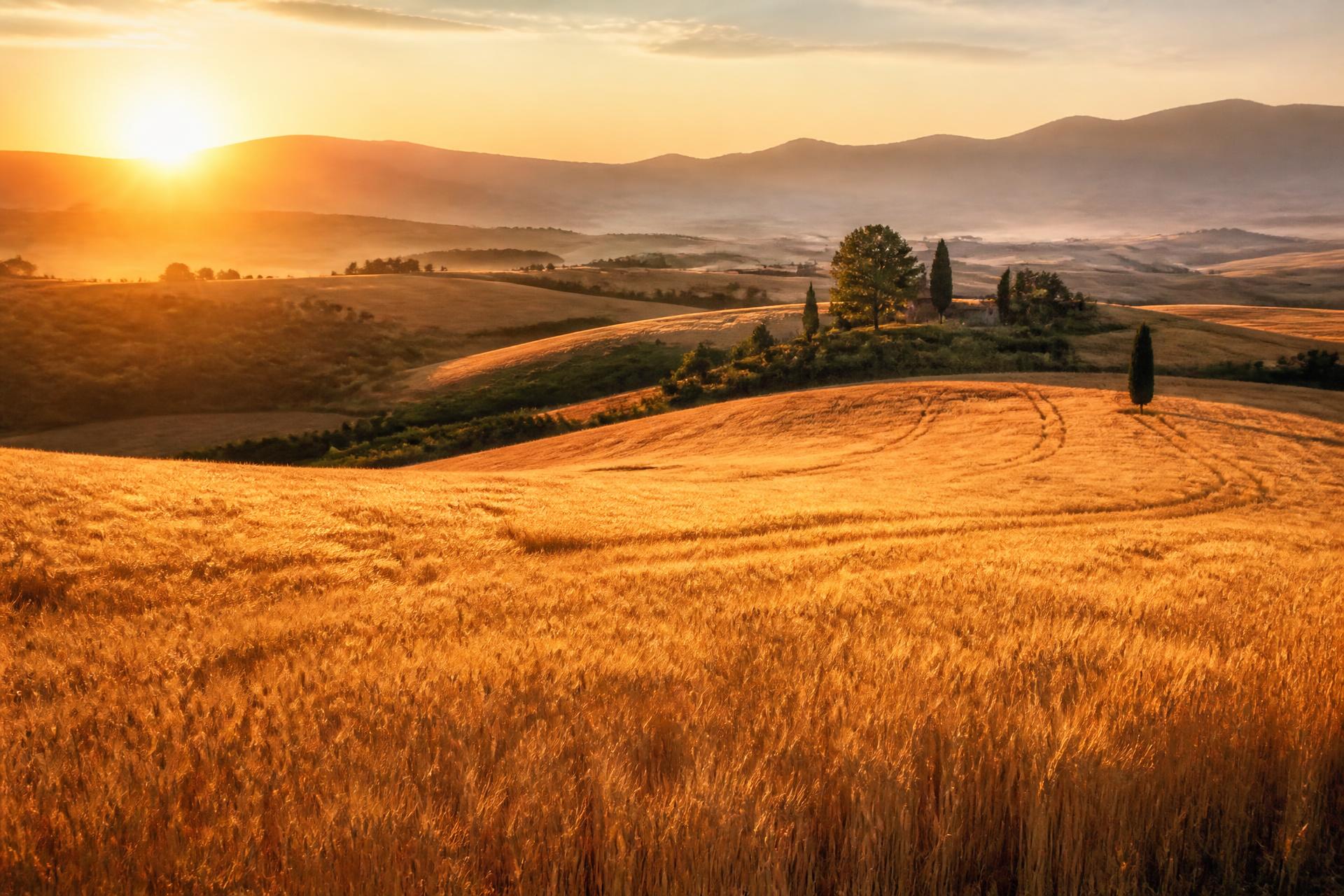 Campagna italiana al tramonto